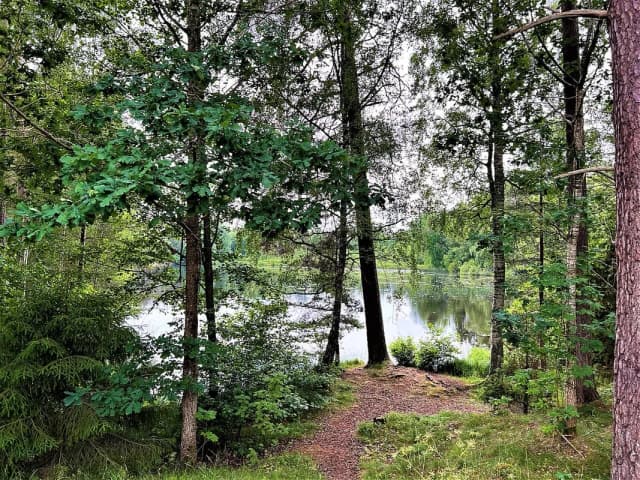 Vetlanda
